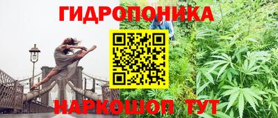 метадон Можга